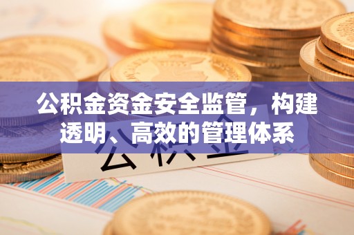 浦口公积金资金安全监管，构建透明、高效的管理体系